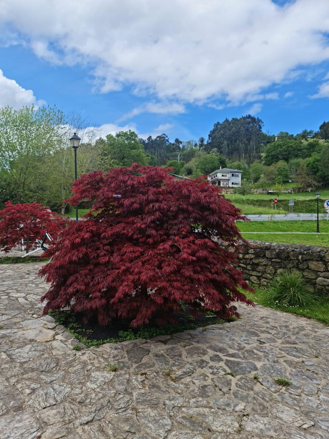 Posada Las Mozas Ríocorvo Buitenkant foto